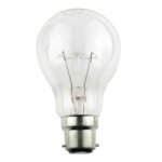Philips Bulb 100 Watts