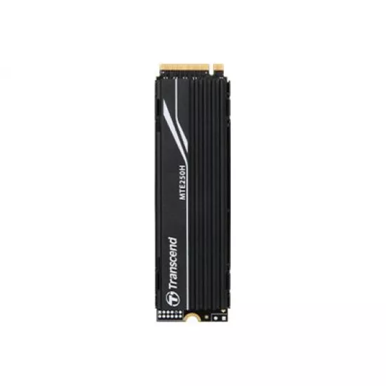 1TB, M.2 2280, PCIe Gen4x4, NVMe, 3D TLC, with Dram(Metal Heatsink)
