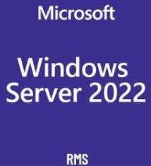 Windows Server 2022 RMS CAL - 1 User CAL - 1 year