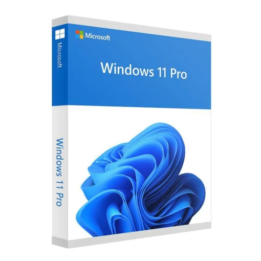 MICROSOFT WINDOWS 11  PRO KEY